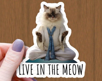 May include: A white cat with blue eyes sits in a meditative pose on a blue cushion. The cat is wearing a white robe with a blue sash. The text "LIVE IN THE MEOW" is printed below the cat.