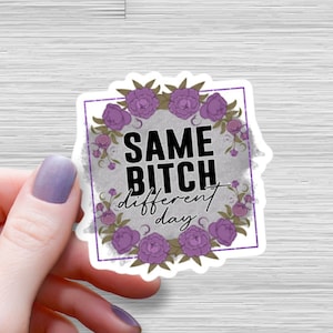 同じビッチ、違う日ステッカー、皮肉な大人のユーモア、防水光沢ビニール