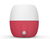 Stylish Pilgrim Collection Essential Oil Ultrasonic Diffuser