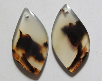 34.00 Cts Natural Montana Agate (31.3mm X 17mm Each) Drilled Cabochon Match Pair