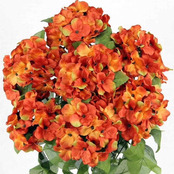 Orange Hydrangea Etsy
