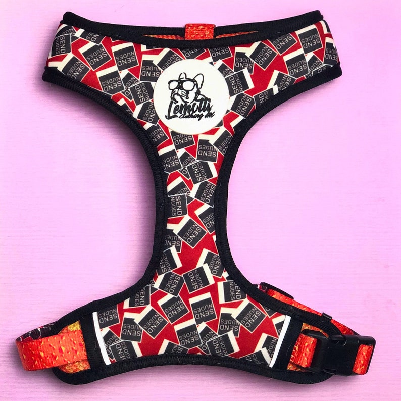 Dog Harness Reversible Collar Stylish Design Pet Harnesses Etsy