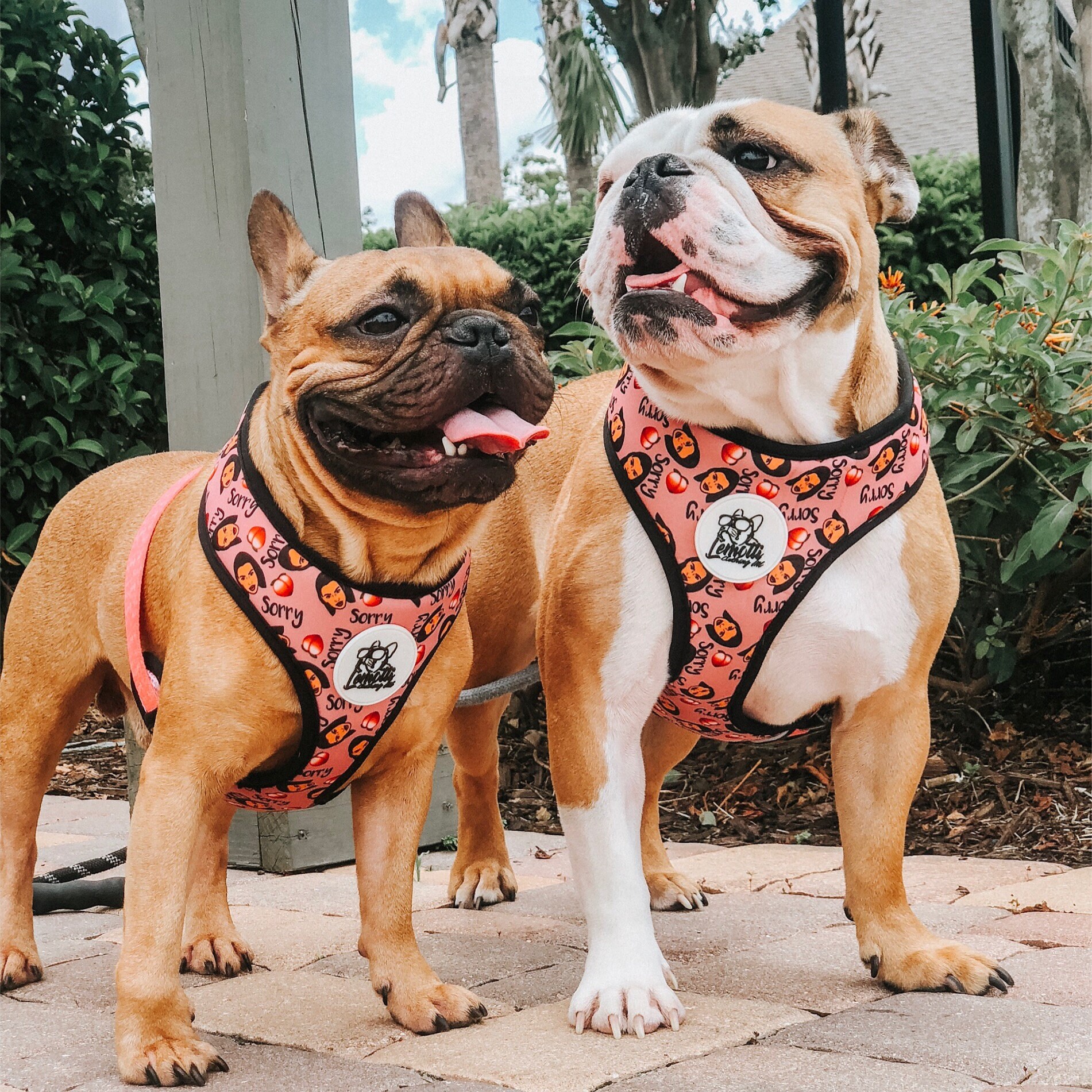 Dog harness bulldog hot sale