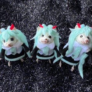 May include: Three small taxidermy rodents dressed in miniature outfits with mint green synthetic hair wigs and small red horns. Each figure wears a white collared shirt, a black skirt, and black arm sleeves, mimicking a specific character aesthetic.