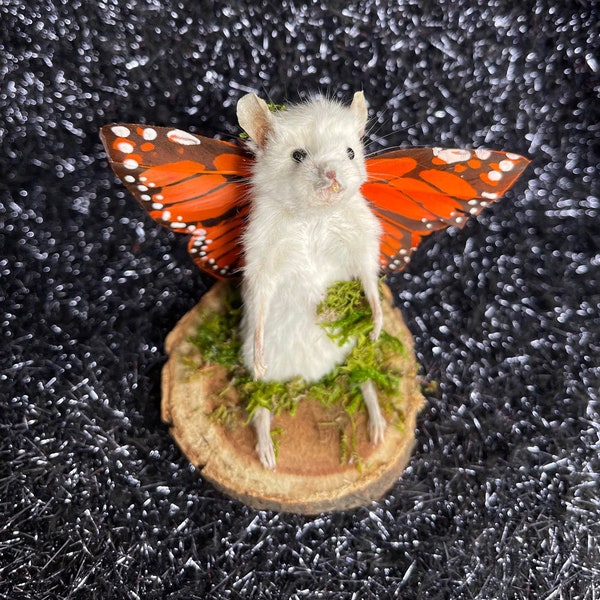 Taxidermy Butterfly Mouse (Orange #2)