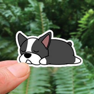Boston Terrier Sticker,  Stickers,Laptop Decals,Cute Stickers,WaterBottle Stickers,Laptop Stickers,Bottle, Laptop Sticker,Friend Gift
