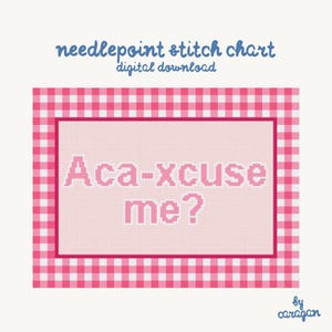 Aca-xcuse me? Needlepoint Stitch Chart, Pink Gingham Design (Digital Download, 8x6")