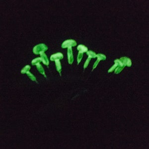 May include: A dark image featuring a cluster of glowing green mushroom-like shapes against a black background. The shapes are arranged in a fan-like pattern, with varying sizes and brightness.