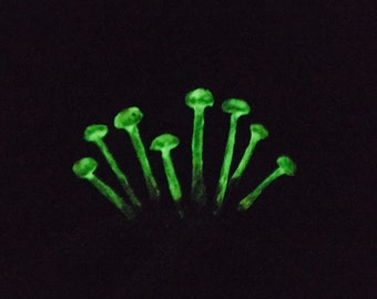 Set of 8 Mini Glow in the dark Mushrooms - Terrarium Accessories -Fairy Garden mushrooms