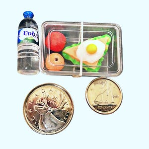 May include: A clear plastic lunchbox with a sandwich, fruit, and a bottle of water. The lunchbox is closed with a rubber band. There are two Canadian coins on the table.