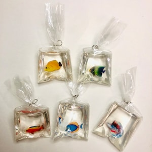Può includere: Cinque piccoli sacchetti di plastica con liquido trasparente e pesci colorati all'interno. I sacchetti sono appesi ad anelli argentati. I pesci sono gialli, blu, rossi, verdi e arancioni.