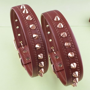 Könnte beinhalten: Zwei braune Lederhundehalsbänder mit goldfarbenen Metallspikes. Die Halsbänder sind mit einem dekorativen Muster vernäht.