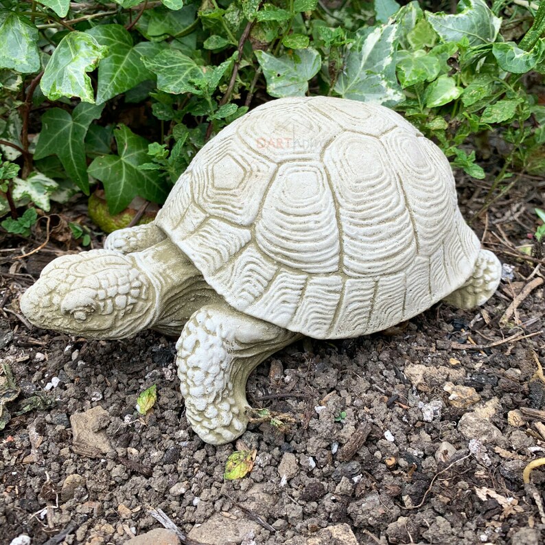 Tortoise Turtle Terrapin Reptile Stone Garden Lawn Statue | Etsy