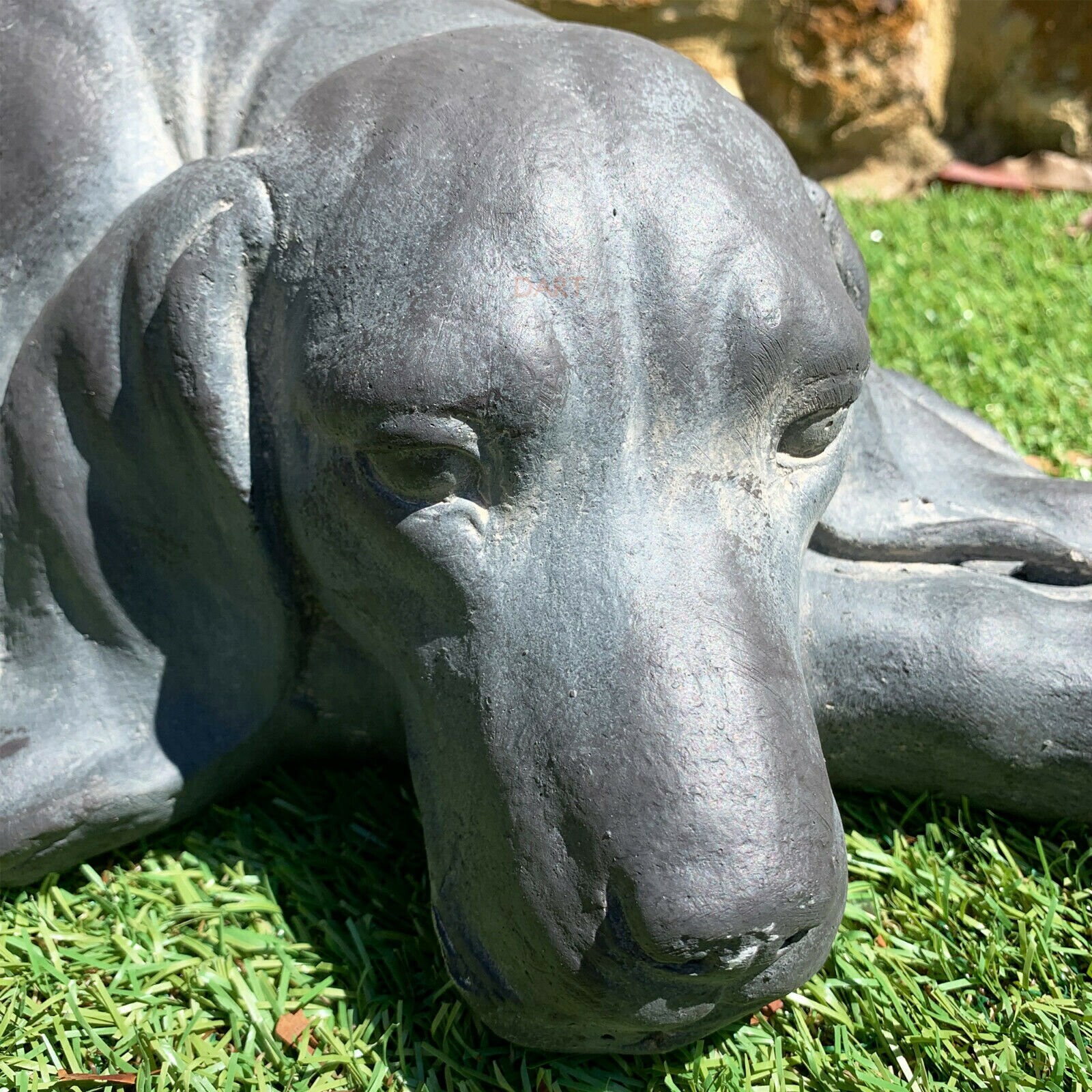 Outdoor Garden Statue Weimaraner Sculpture Large Resin Content Etsy