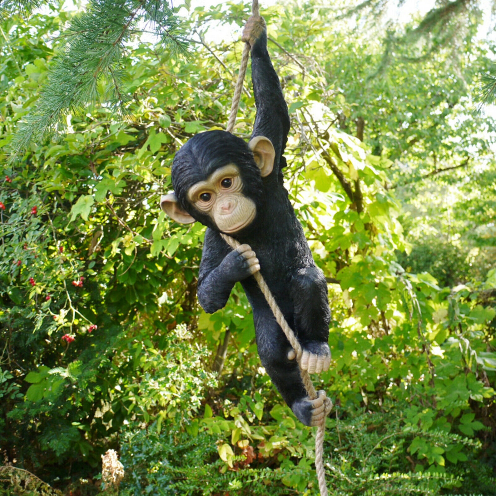 He can climb like a monkey. He can climb like a monkey