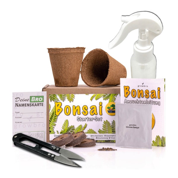 Bonsaï - growbro - Wisteria Grow Kit - GROW YOUR OWN Bonsai Bro, cadeaux pour femmes et hommes, Bonsai Starter Kit