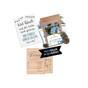 Cadeau d'adieu pour les collègues : set 3 en 1 avec carte, graines de fleurs myosotis et emballage DIY | Coffret cadeau d'adieu original