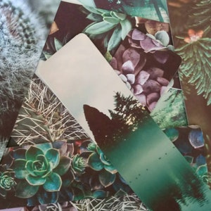 Segnalibri Set di carta, Cactus Piante Grasse Forestali Piante Confezione da 3 pezzi