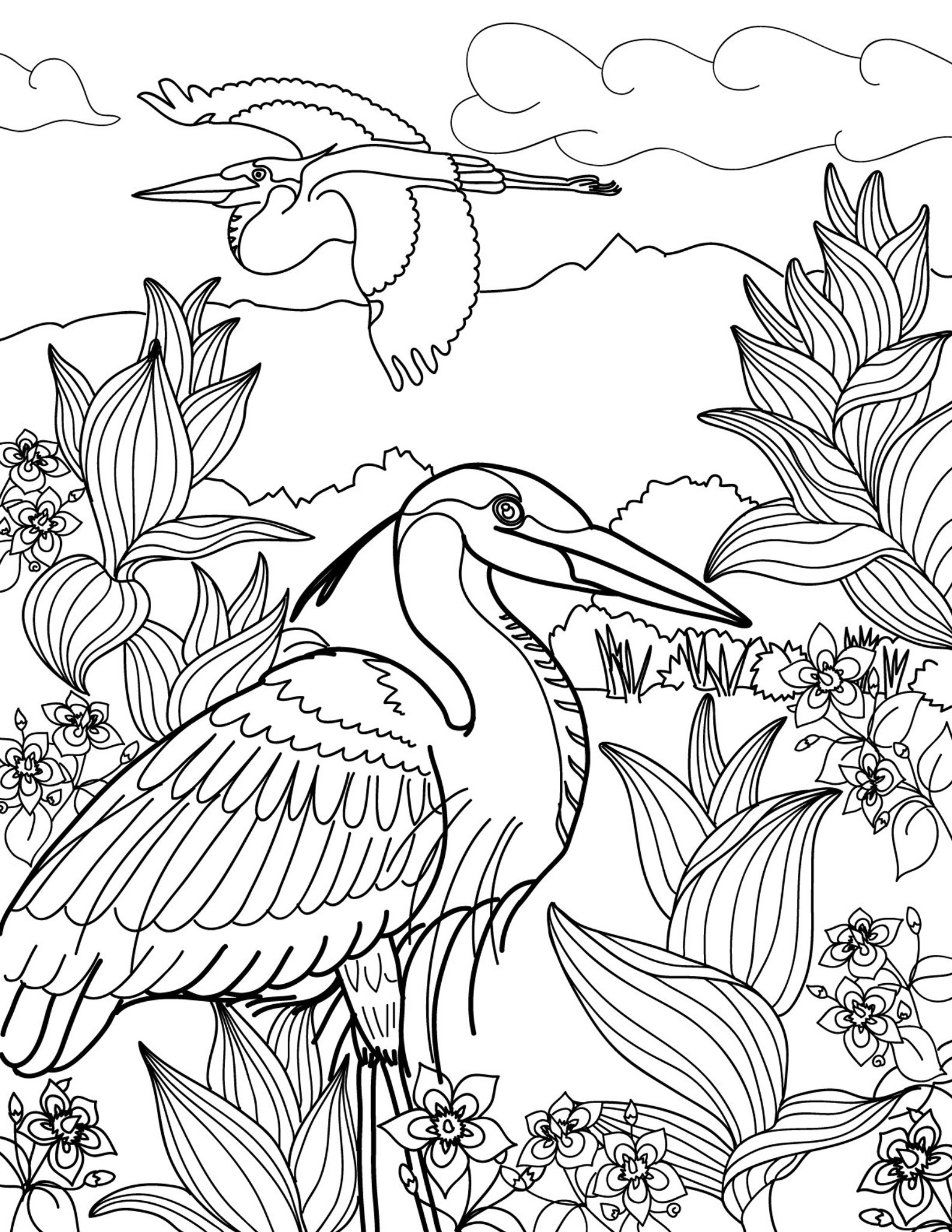 The Wildlife Scenery Coloring Book Download Printable Coloring - Etsy UK