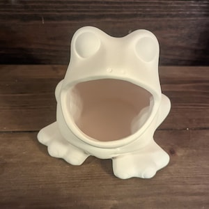 Ready to paint frog scrubbie holder
