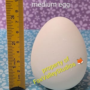 May include: A white, medium-sized egg is displayed next to a ruler. The ruler shows measurements in inches and centimeters. The text "medium egg" is above the egg. The text "property of FoxValleyStudios" is on the egg.