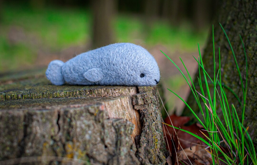 Needle Felting Kit SEAL Learn How to Make a Seal and Spend Your Time