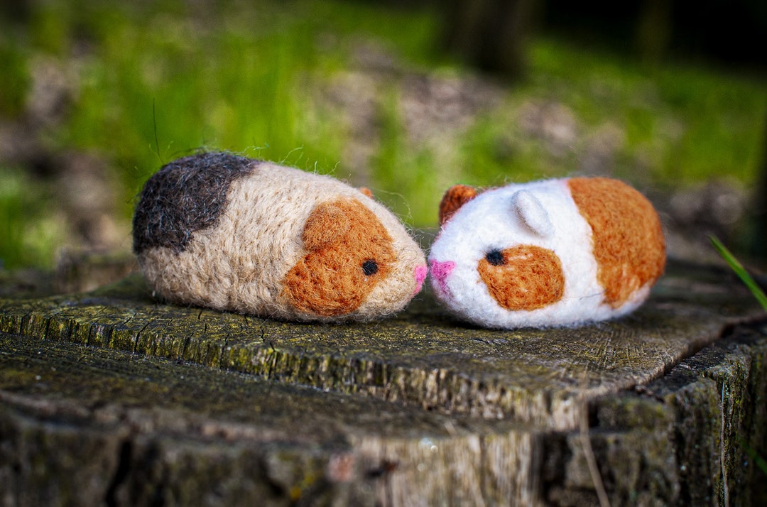 Needle Felting Kit Guinea Pig Learn to Make TWO Guinea Pig. Etsy