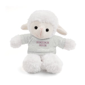 Chiro Kid Stuffed Animal/Pediatric Chiropractic office/Chiropractor office/chiropractor gift/chiropractic gifts for kids/chiropractic toy