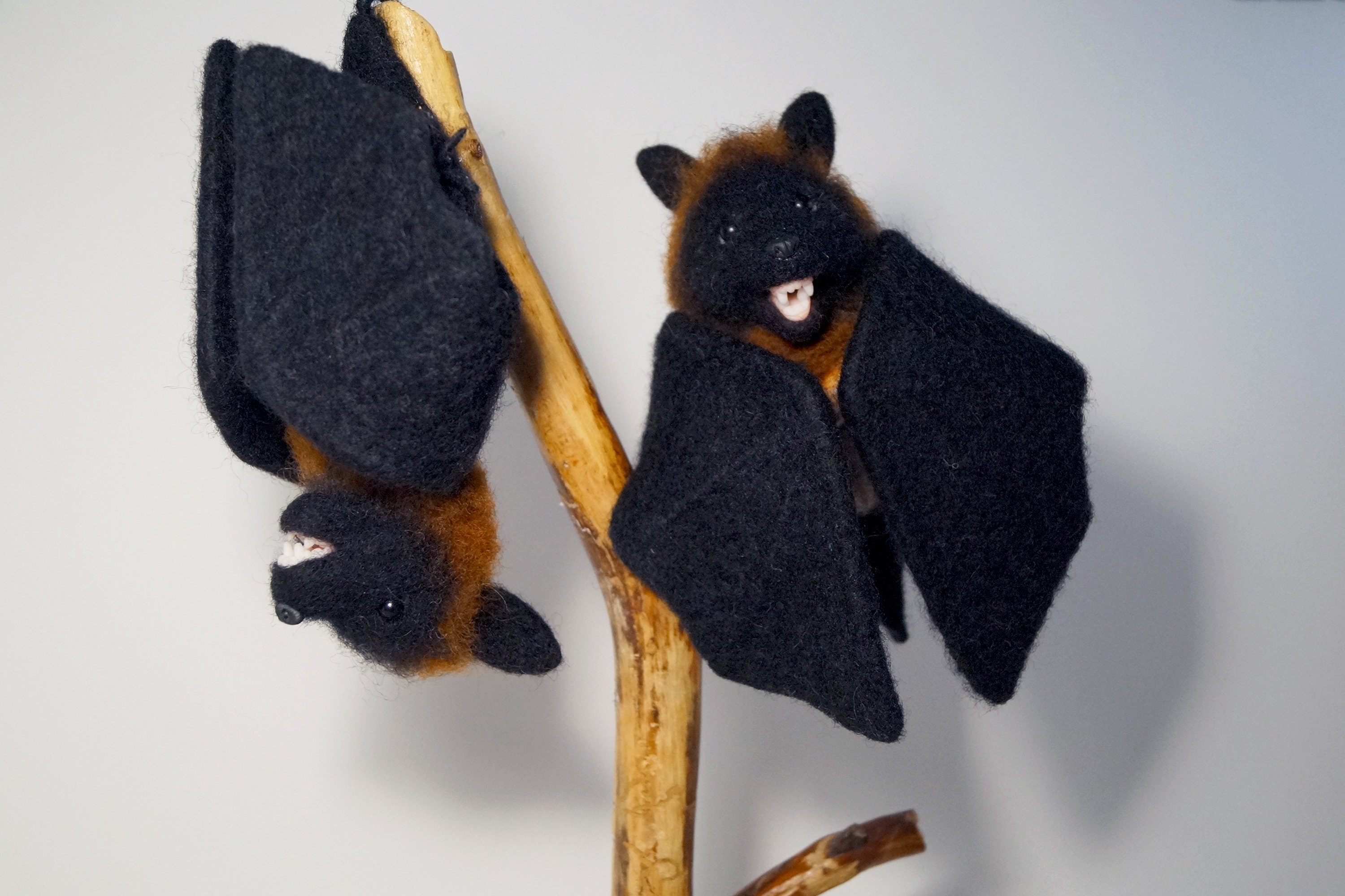 Needle felted realistic bat. Cute vampires bats. Felt black Etsy