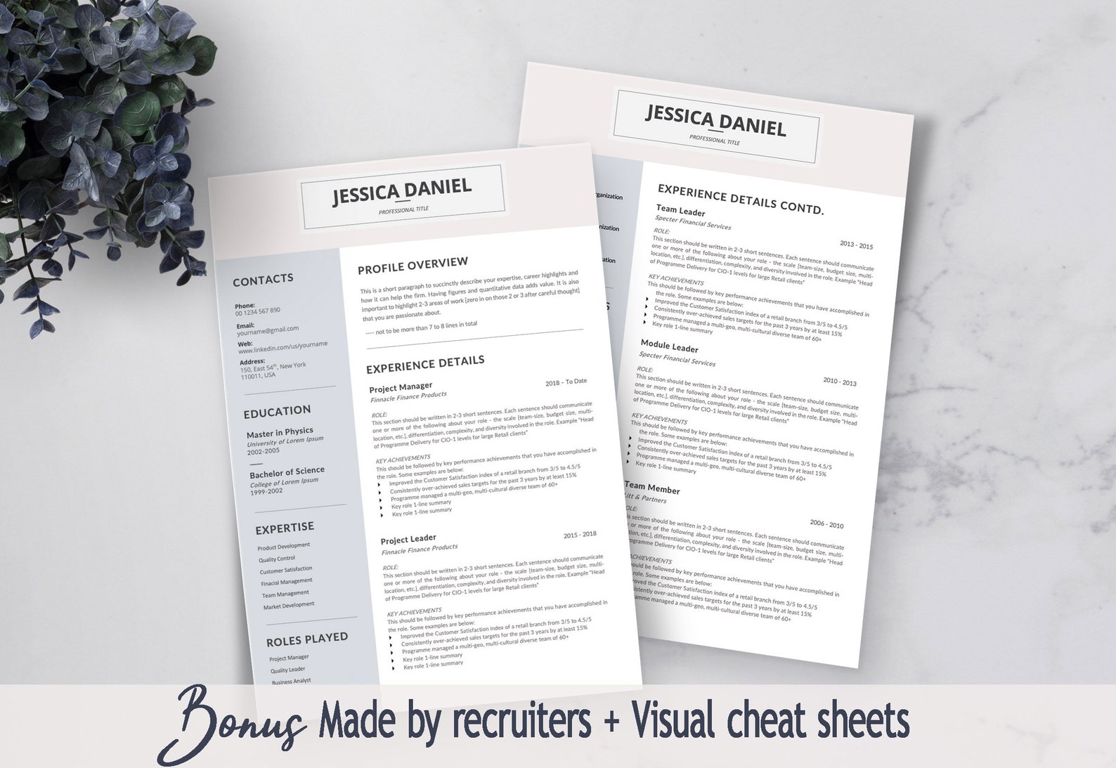 Technical Resume Template for Word, Project Manager Resume, Modern