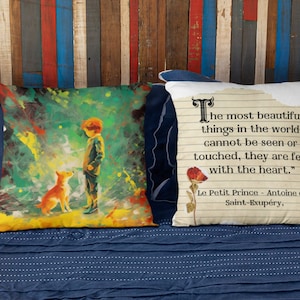 Classic literature Pillow Case, The Little Prince Pillow COVER, Gift for a book lover, Book Decor, The Little Prince Gift