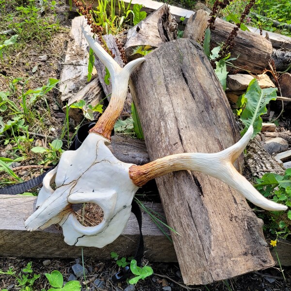 Cervid skull, Shaman Headdress, Wendigo, Pagan, Animal skull, Larp Ma