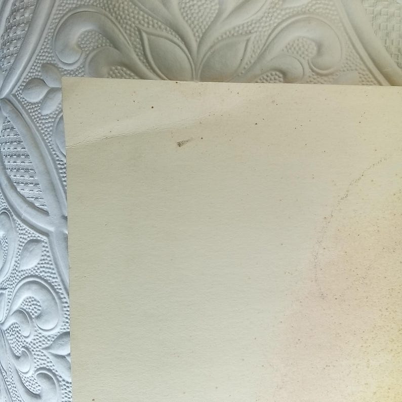 May include: A close-up of a section of a light beige paper with small dark spots and a few imperfections. The paper is set against a textured, white background with a floral pattern.