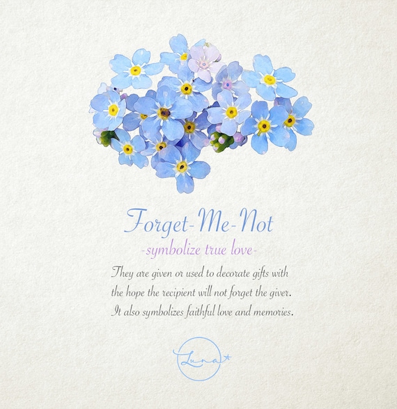 Forget Me Not Flowers Scorpion Grasses Watercolor Blue Etsy Forget Me Not Flowers Scorpion Grasses Watercolor Blue Etsy