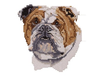 Bulldog Cross Stitch kit with fabric, sorted floss, chart and needle