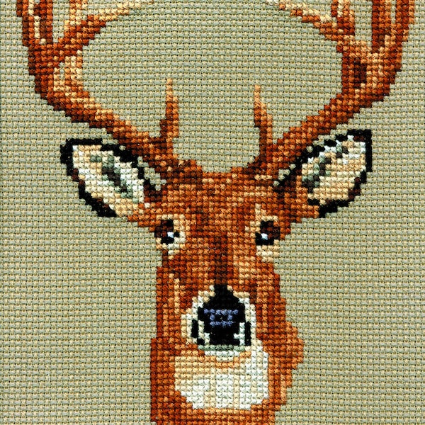 KIT-White-Tailed Deer Head Study Counted Cross Stitch Kit