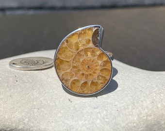 Madagascan Ammonite Fossil Ring, Handmade in 925 Sterling Silver, Ammonite Jewellery, Adjustable Band