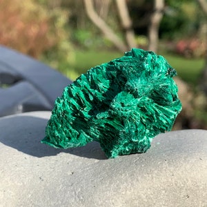 Natürliche Chatoyant Samt Malachit Probe, sammelbare Display Stück, afrikanischer Edelstein