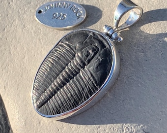 Large Elrathia Kingii Trilobite Fossil Pendant, Handmade in 925 Sterling Silver, Trilobite Jewellery