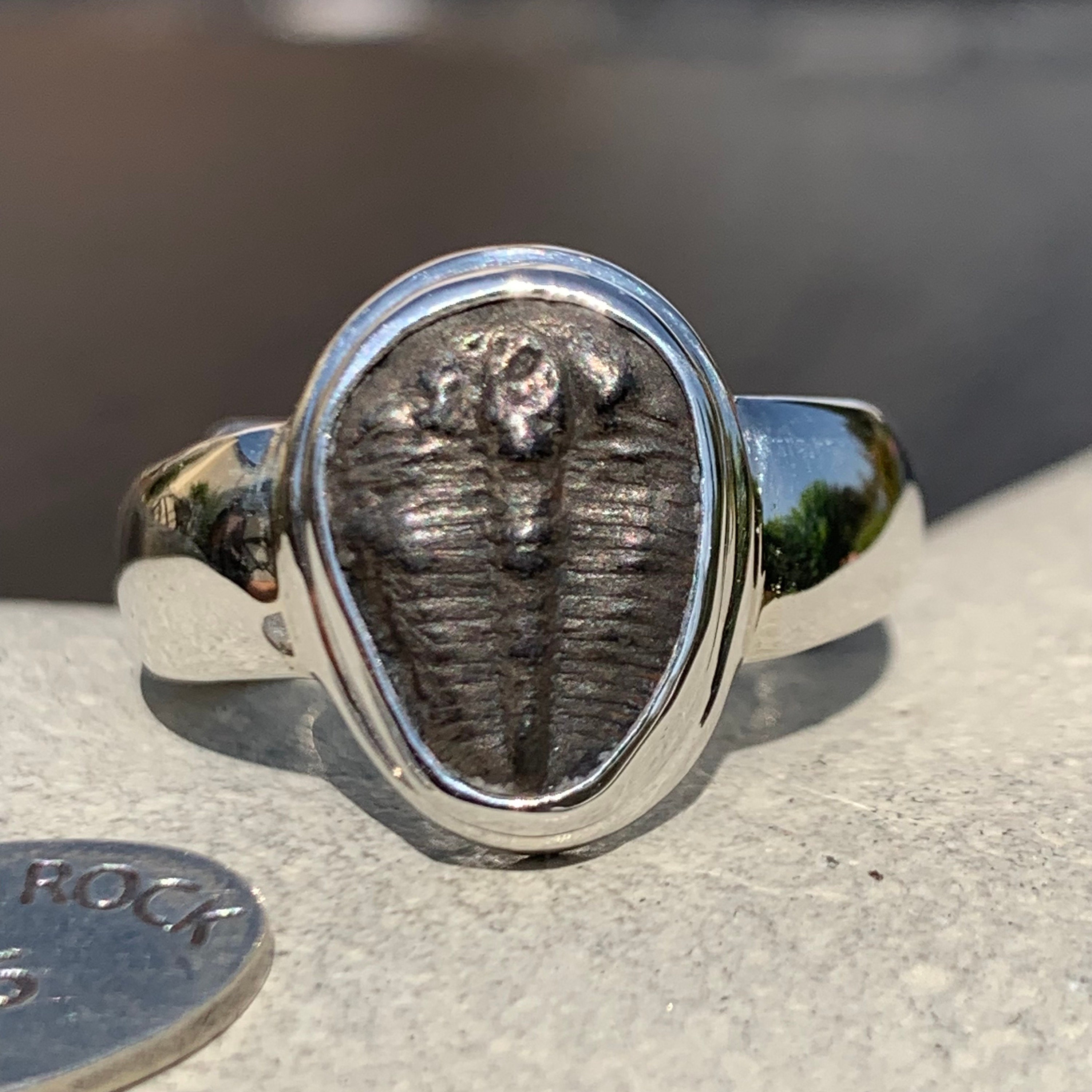 Elrathia Kingii Trilobite Ring, Handmade in 925 Sterling Silver