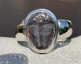 ヴィンテージ SILVER 三葉虫 化石リング 指輪 シルバー 約11号 サイズ6 - 唯一無二のスターリングシルバー製三葉虫化石リング - Etsy 日本