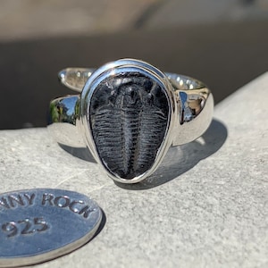 Elrathia Kingii Trilobite Ring, Handmade in 925 Sterling Silver, Trilobite Fossil Ring, Trilobite Jewellery