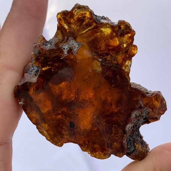 Dominican Amber Fossilised Tree Resin Etsy
