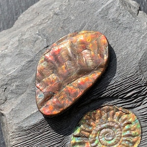 Jurassic Juralite Ammonite Cabochon, Hand Cut and Polished Rare UK Fossil Gemstone
