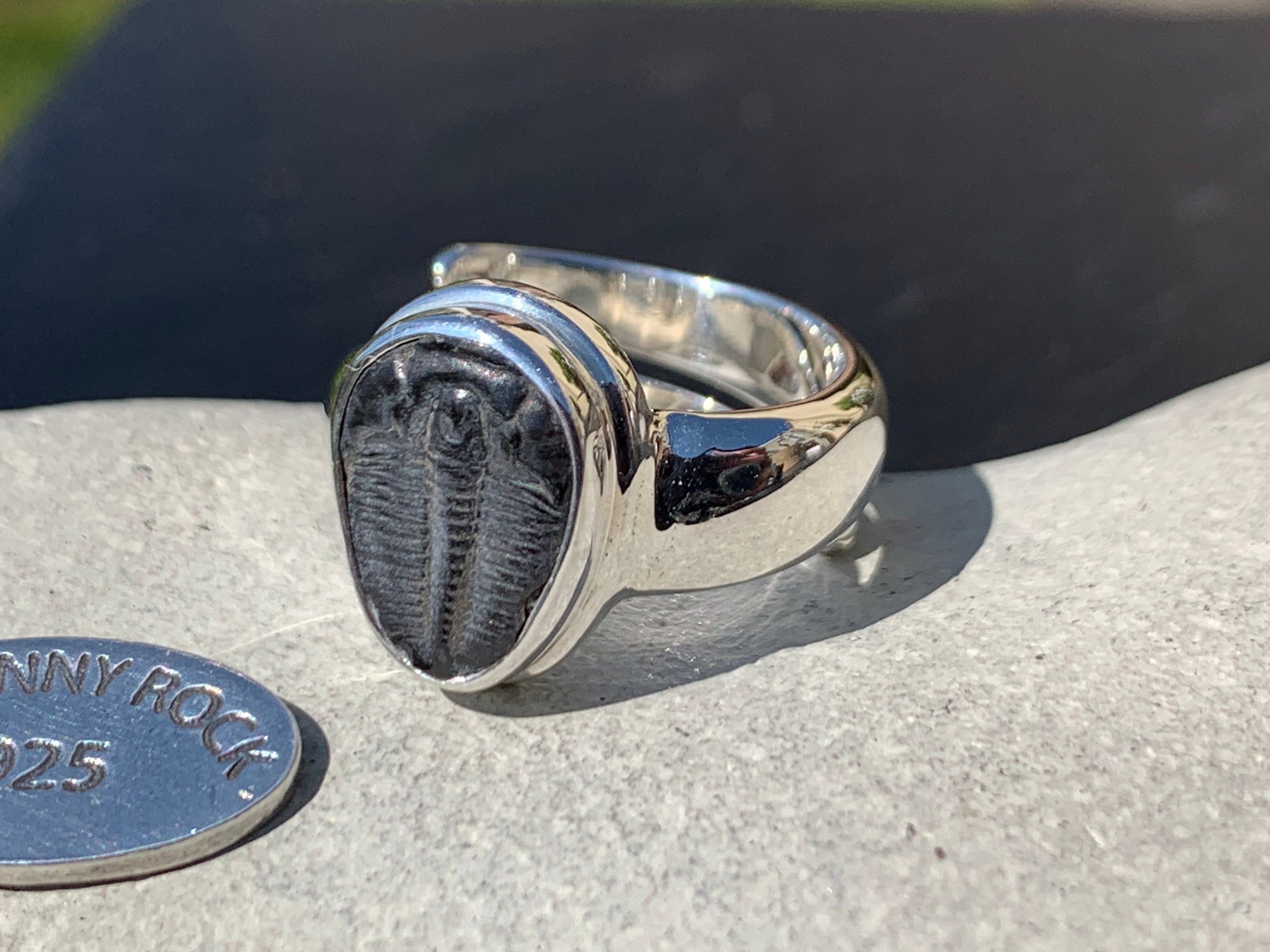 ヴィンテージ SILVER 三葉虫 化石リング 指輪 シルバー 約11号 エルラシア・キングイ三葉虫リング、925スターリングシルバー製