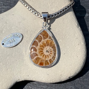 Colgante de lágrima de amonita, hecho a mano en plata de ley 925, joyería de amonita