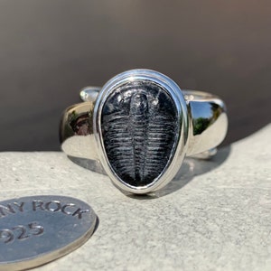 Elrathia Kingii Trilobite Ring, Handmade in 925 Sterling Silver, Trilobite Fossil Ring, Trilobite Jewellery