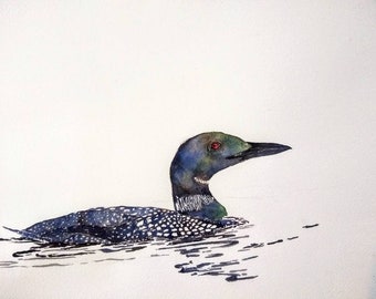 Loon Watercolor Giclee