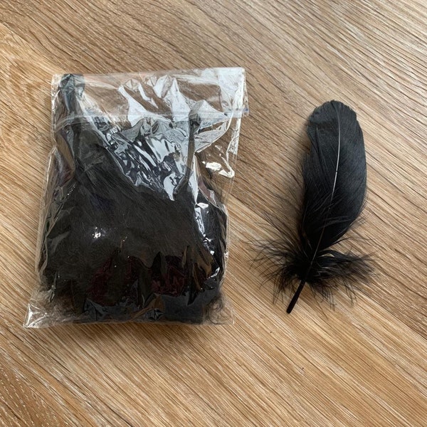 100 Black Feathers