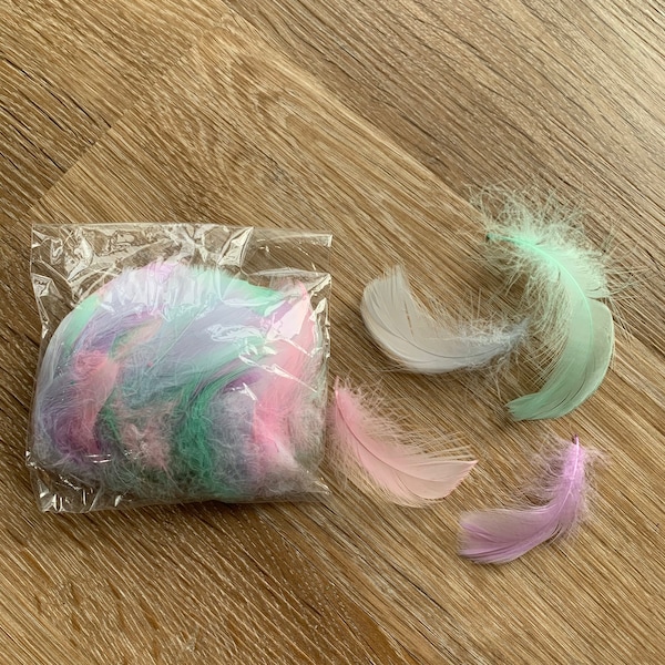 100 plumes de couleur licorne